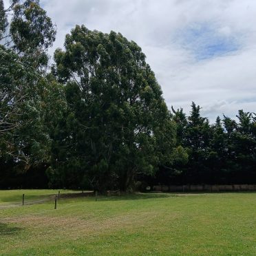 before, west melton