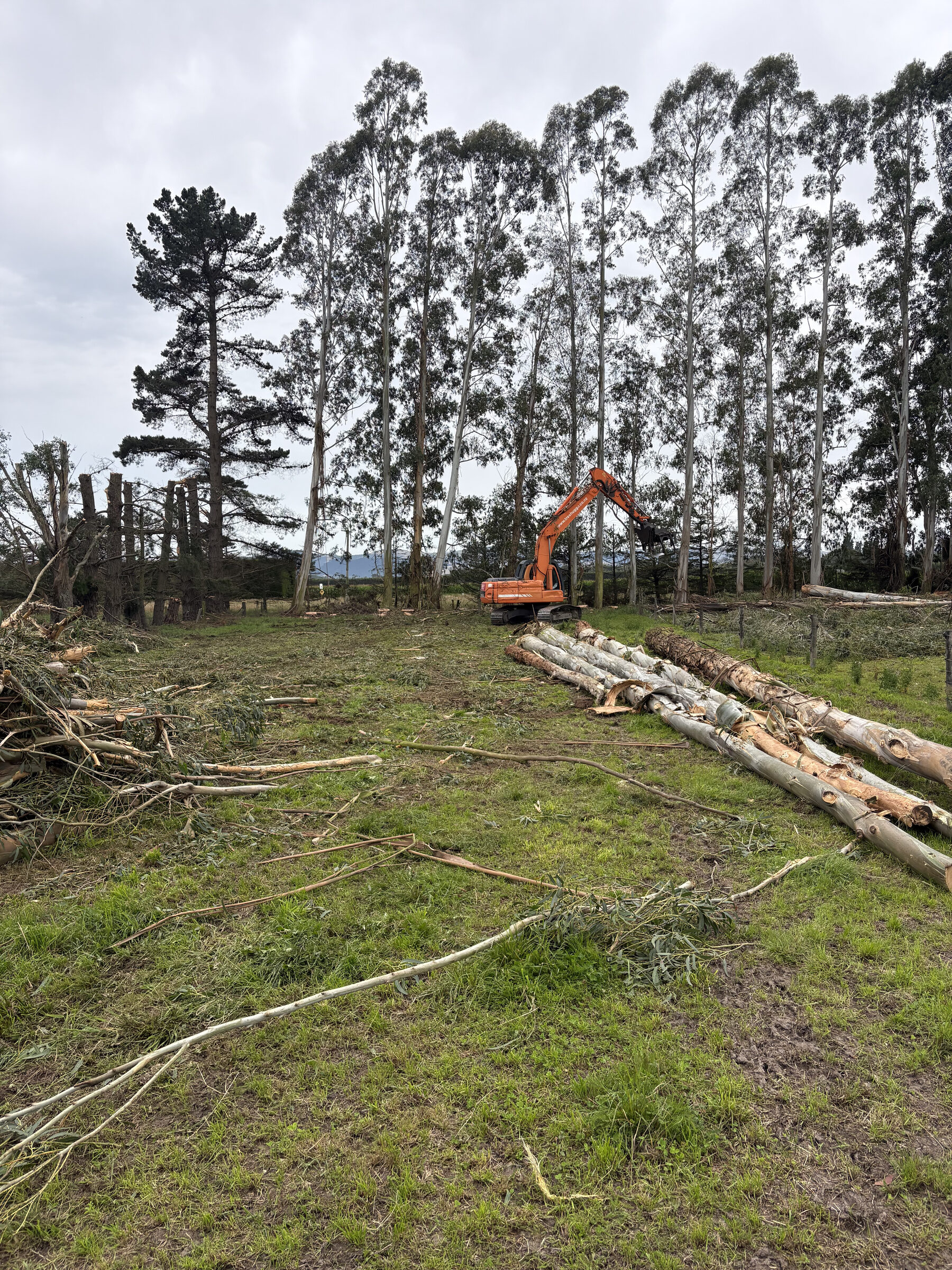 Land Management