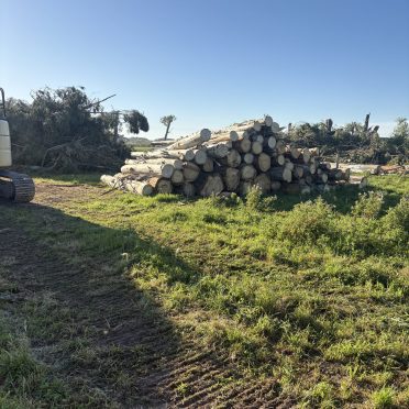 logs being on sold for firewood