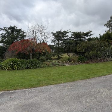 after, topping and pruning in west melton resi