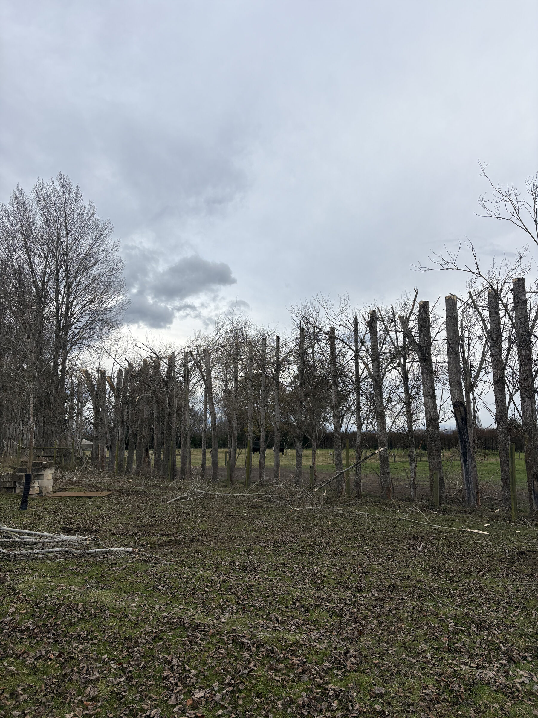 Forestry & Rural