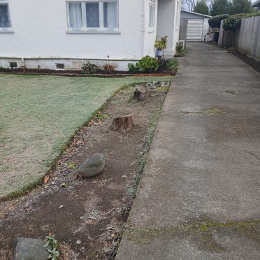 before, stump grinding in st albans