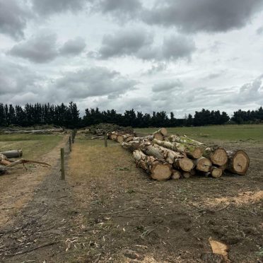 logs ready to be picked up by self loading logging truck