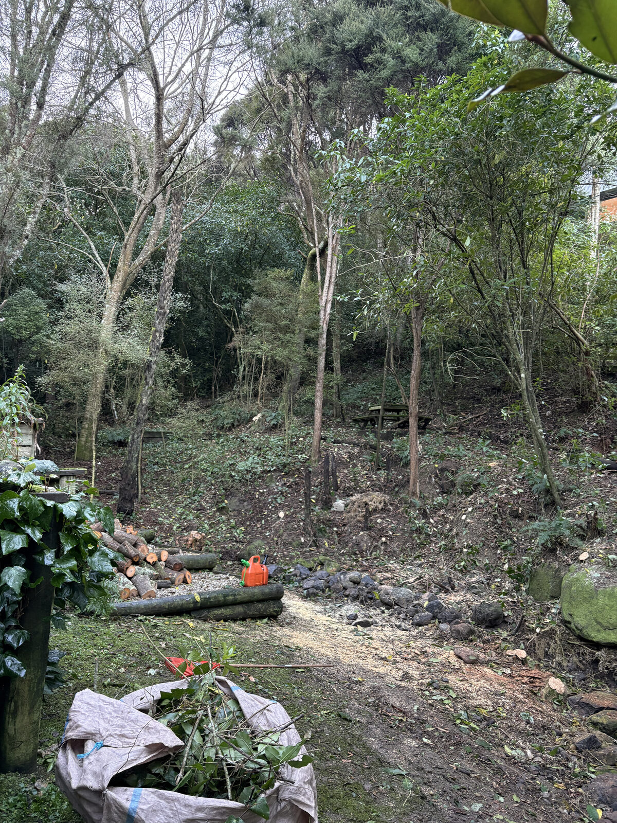 After land clearance